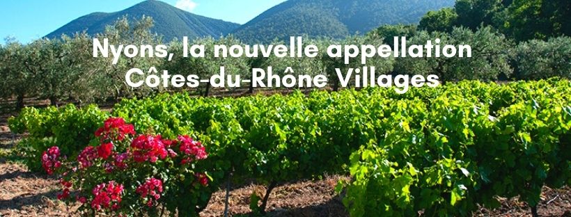 Du Côtes-du-Rhône Villages NYONS bientôt à la Coopérative Vignolis !