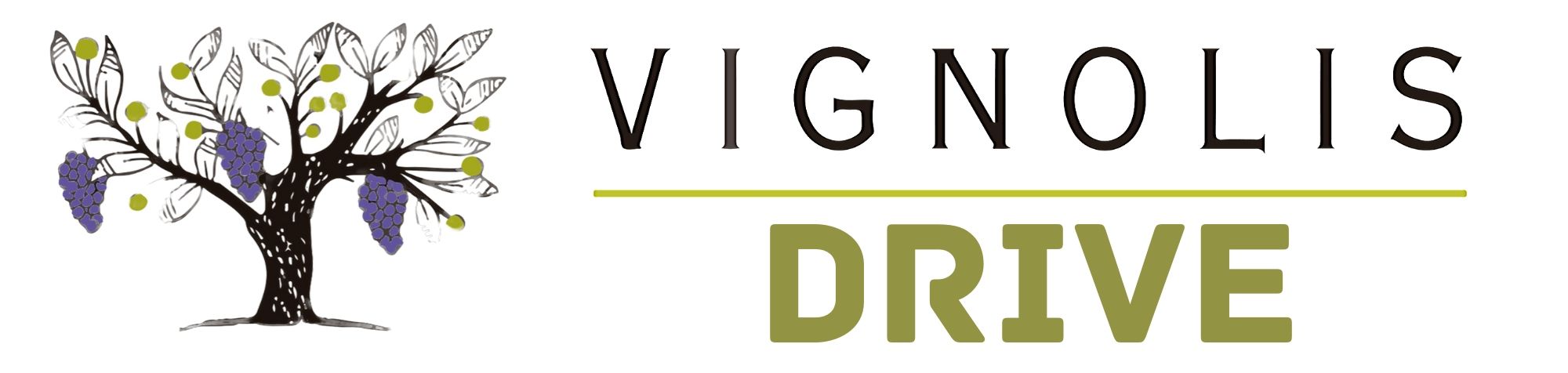 MODALITES SERVICE DRIVE VIGNOLIS NYONS