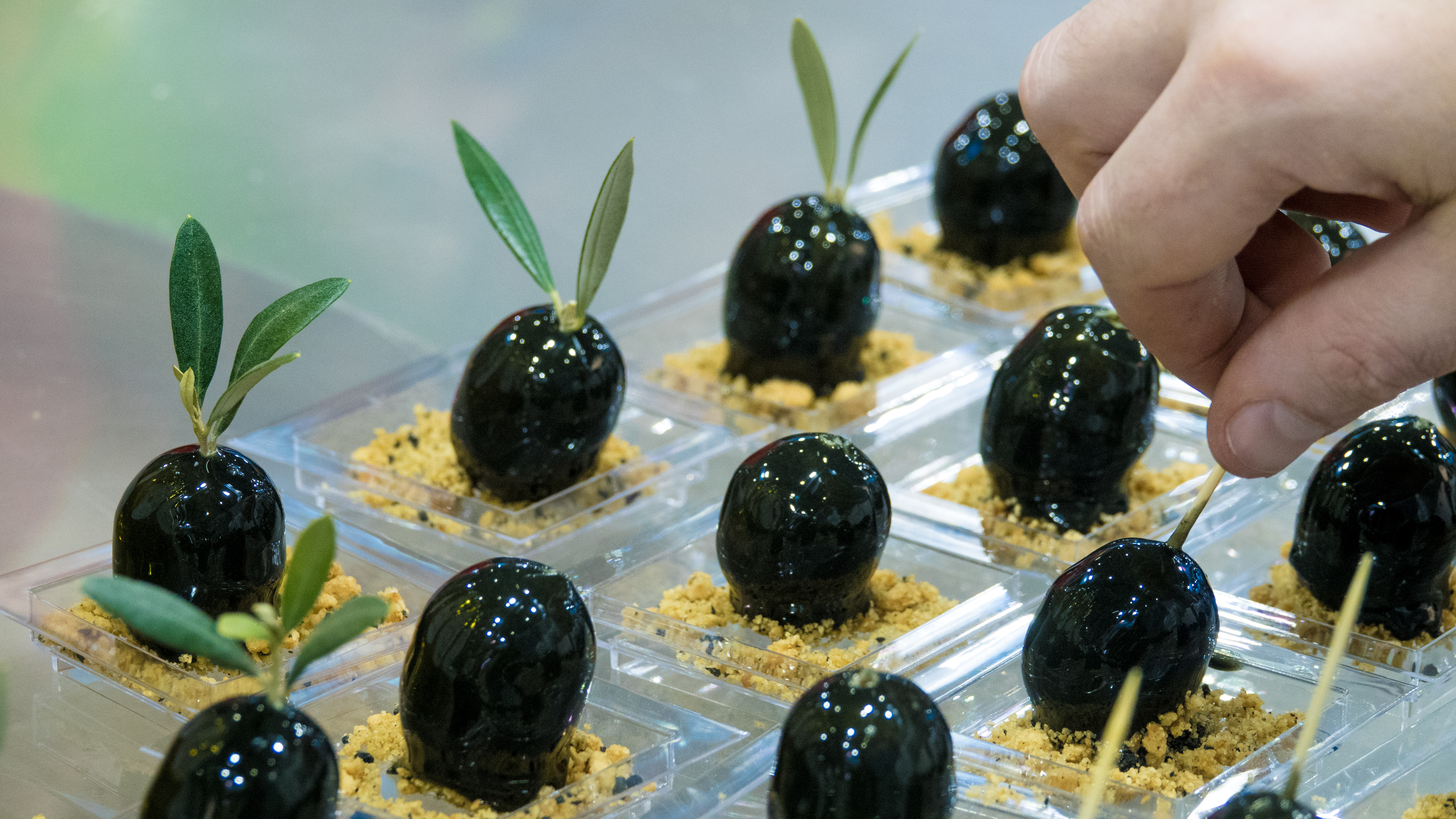 RECETTES DU CHEF JULIEN ALLANO AVEC NOS PRODUITS NYONSOLIVE - SIRHA 2019